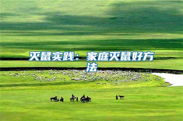 滅鼠實踐:家庭滅鼠好方法