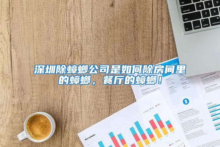 深圳除蟑螂公司是如何除房間里的蟑螂,餐廳的蟑螂!