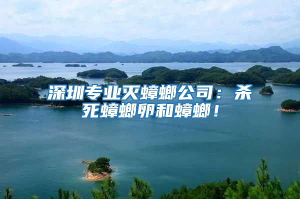 深圳專業(yè)滅蟑螂公司:殺死蟑螂卵和蟑螂!