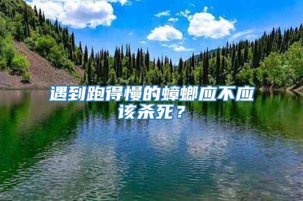 遇到跑得慢的蟑螂應不應該殺死？