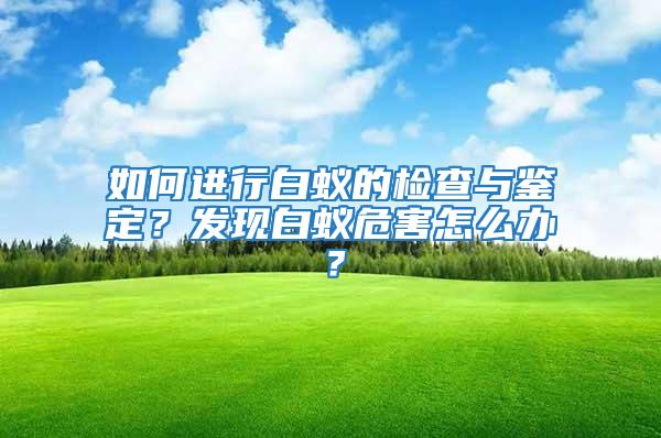 如何進行白蟻的檢查與鑒定？發現白蟻危害怎么辦？