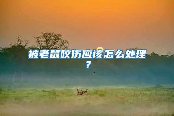 被老鼠咬傷應該怎么處理？