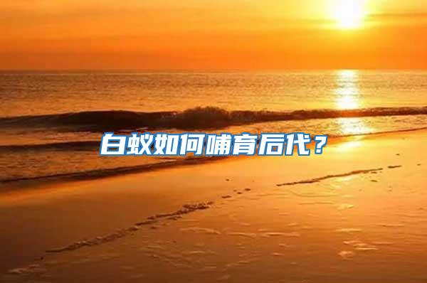 白蟻如何哺育后代?