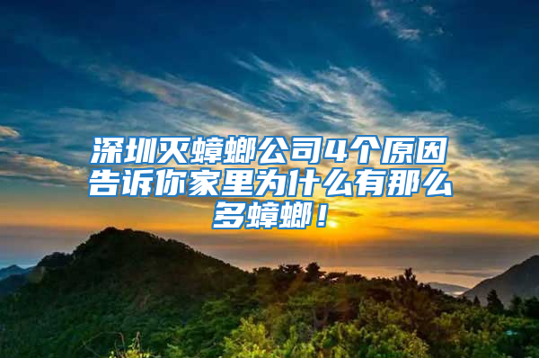 深圳滅蟑螂公司4個原因告訴你家里為什么有那么多蟑螂!