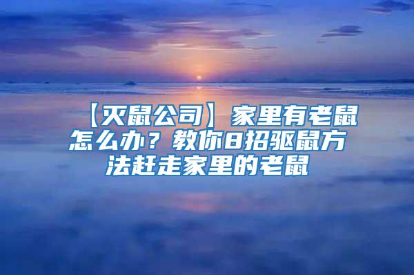 【滅鼠公司】家里有老鼠怎么辦?教你8招驅鼠方法趕走家里的老鼠