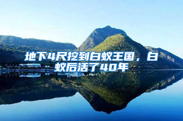 地下4尺挖到白蟻王國(guó)，白蟻后活了40年