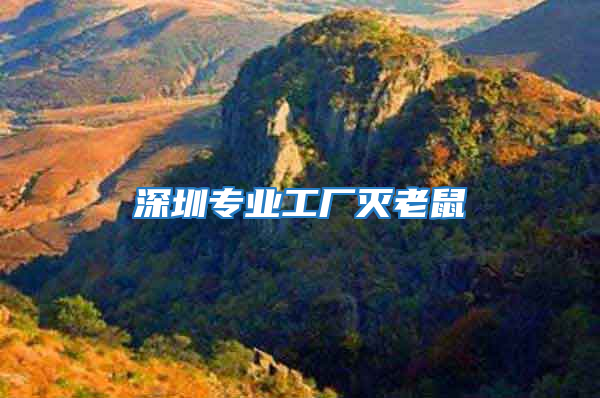 深圳專業工廠滅老鼠