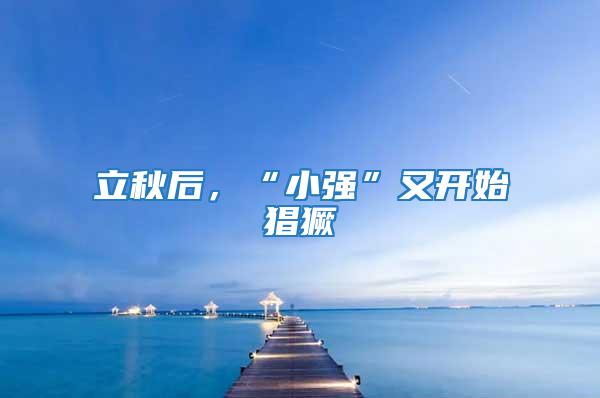 立秋后，“小強”又開始猖獗