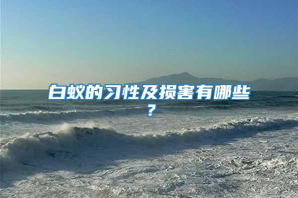 白蟻的習性及損害有哪些？