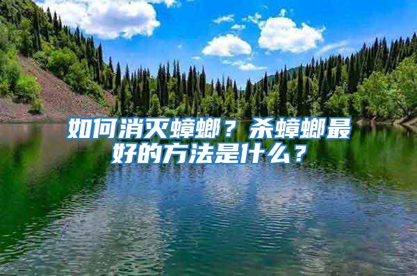 如何消滅蟑螂?殺蟑螂最好的方法是什么?