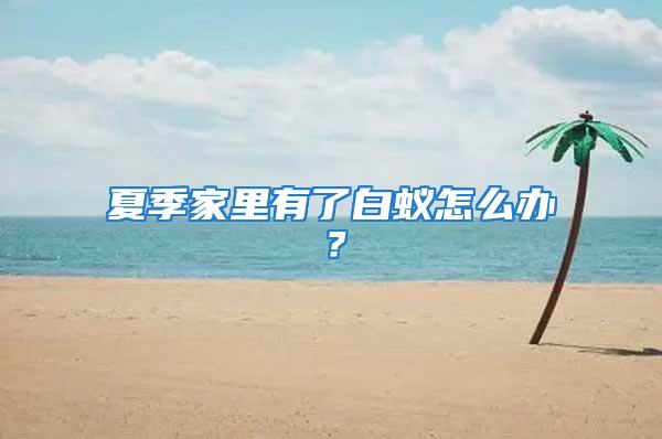 夏季家里有了白蟻怎么辦?