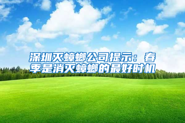 深圳滅蟑螂公司提示:春季是消滅蟑螂的最好時機