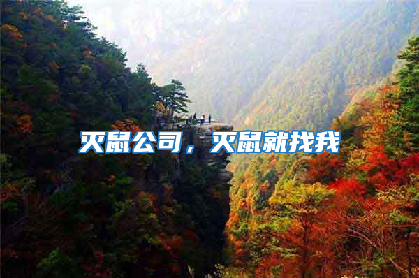 滅鼠公司，滅鼠就找我