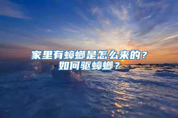 家里有蟑螂是怎么來的?如何驅蟑螂?