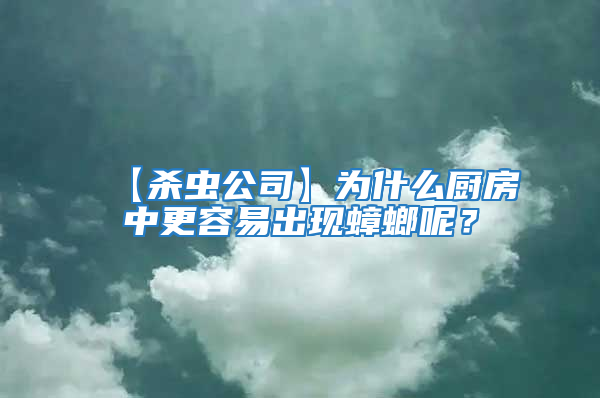 【殺蟲公司】為什么廚房中更容易出現(xiàn)蟑螂呢?