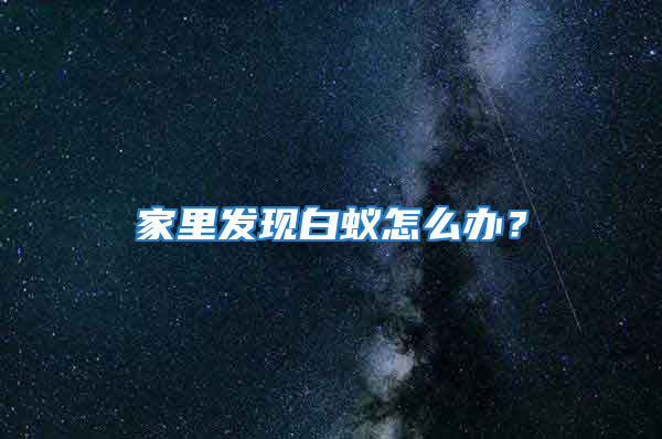 家里發現白蟻怎么辦？