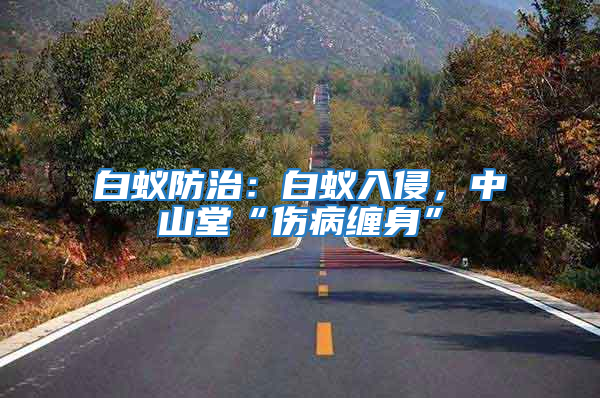 白蟻防治：白蟻入侵，中山堂“傷病纏身”