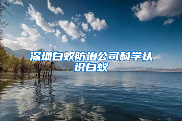 深圳白蟻防治公司科學認識白蟻