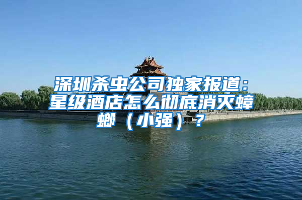 深圳殺蟲公司獨家報道：星級酒店怎么徹底消滅蟑螂（小強）？