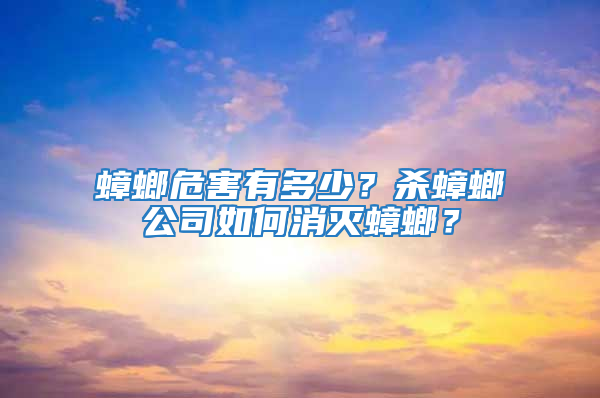 蟑螂危害有多少？殺蟑螂公司如何消滅蟑螂？