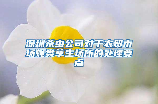 深圳殺蟲公司對(duì)于農(nóng)貿(mào)市場(chǎng)蠅類孳生場(chǎng)所的處理要點(diǎn)