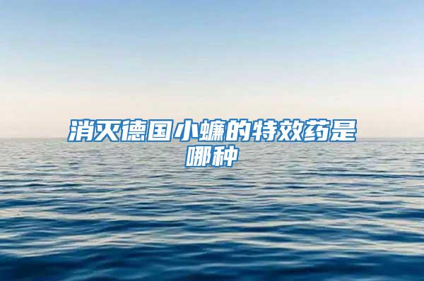 消滅德國(guó)小蠊的特效藥是哪種