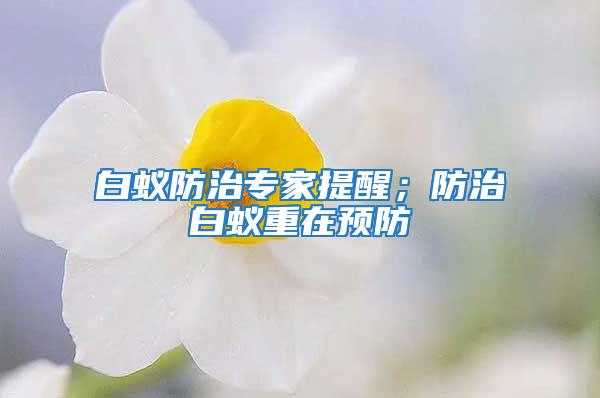 白蟻防治專家提醒；防治白蟻重在預防