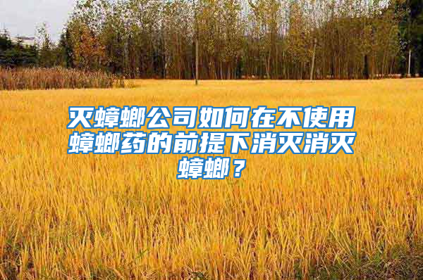 滅蟑螂公司如何在不使用蟑螂藥的前提下消滅消滅蟑螂？