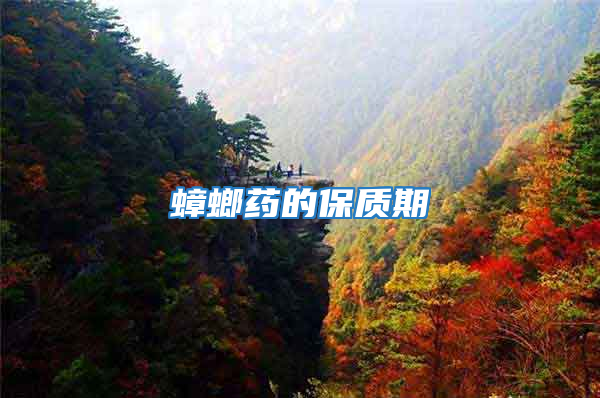 蟑螂藥的保質期