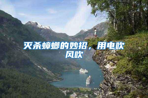 滅殺蟑螂的妙招,用電吹風吹