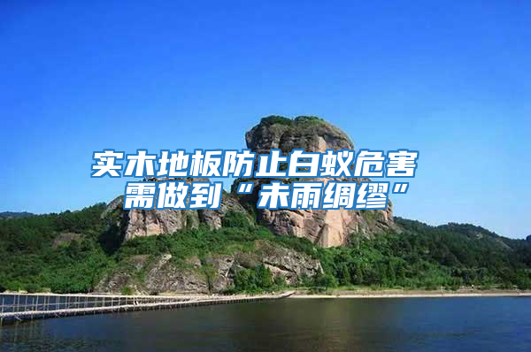 實木地板防止白蟻危害 需做到“未雨綢繆”