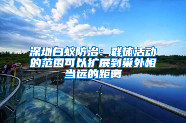 深圳白蟻防治：群體活動的范圍可以擴展到巢外相當遠的距離