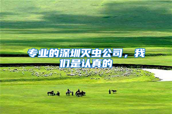 專業的深圳滅蟲公司，我們是認真的