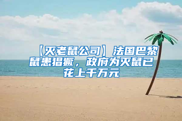 【滅老鼠公司】法國(guó)巴黎鼠患猖獗，政府為滅鼠已花上千萬(wàn)元