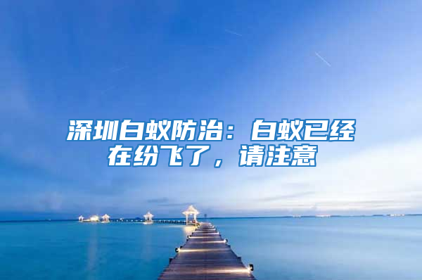 深圳白蟻防治:白蟻已經(jīng)在紛飛了,請注意