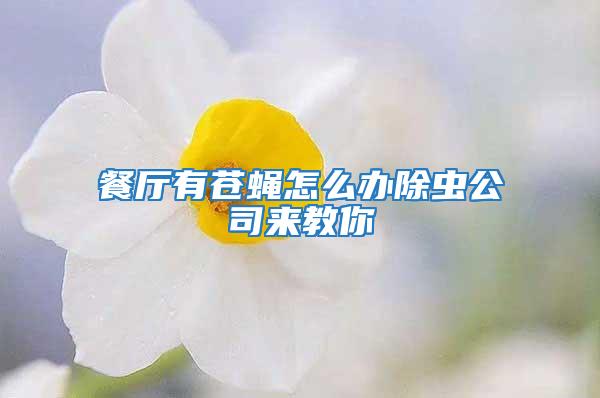 餐廳有蒼蠅怎么辦除蟲(chóng)公司來(lái)教你
