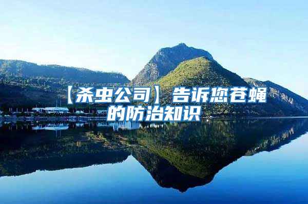 【殺蟲公司】告訴您蒼蠅的防治知識