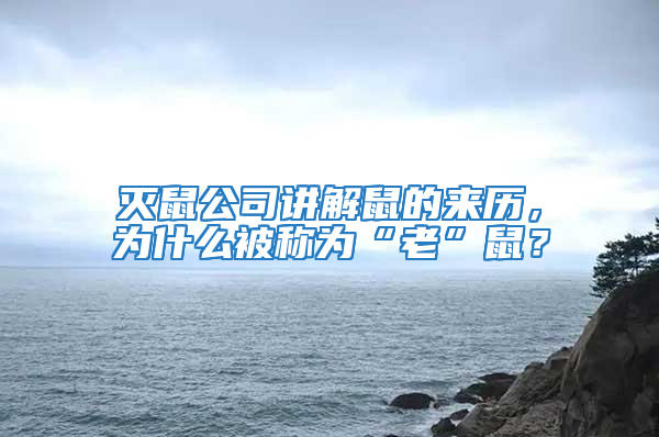 滅鼠公司講解鼠的來歷,為什么被稱為“老”鼠?