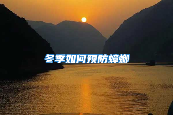 冬季如何預防蟑螂