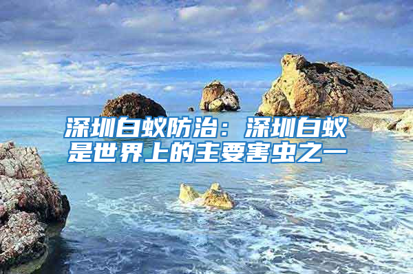 深圳白蟻防治:深圳白蟻是世界上的主要害蟲之一