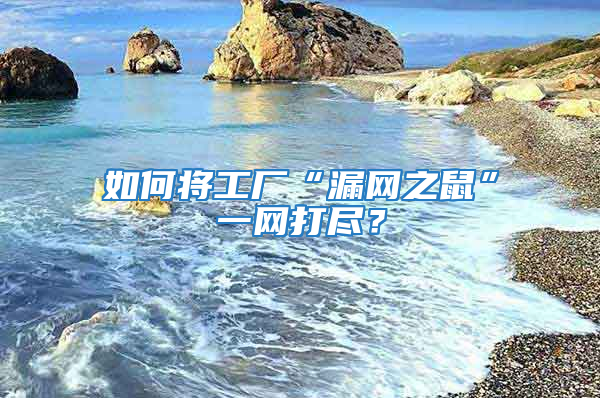 如何將工廠“漏網(wǎng)之鼠”一網(wǎng)打盡？