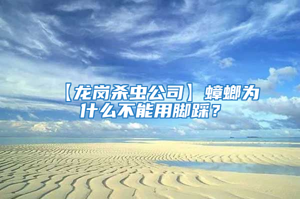 【龍崗殺蟲公司】蟑螂為什么不能用腳踩？