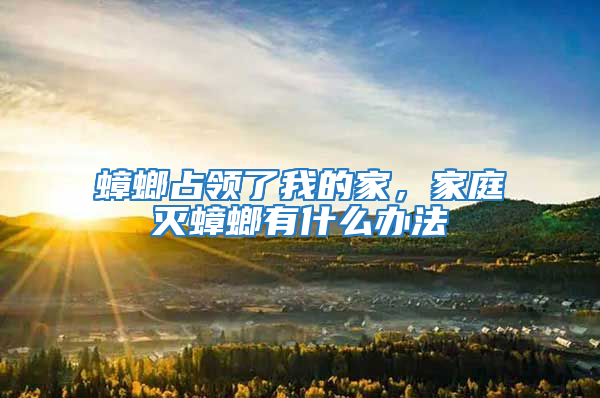 蟑螂占領(lǐng)了我的家，家庭滅蟑螂有什么辦法