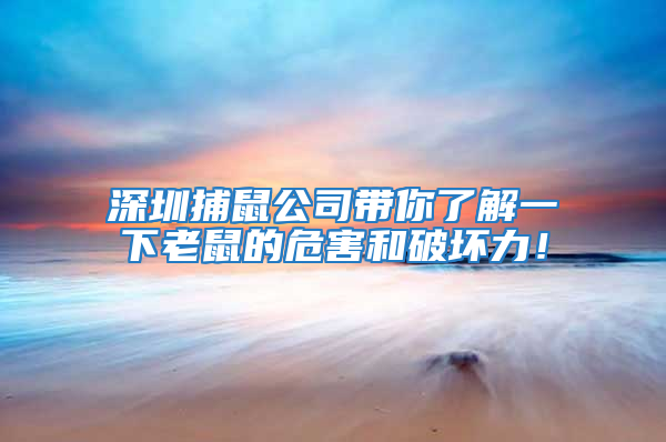 深圳捕鼠公司帶你了解一下老鼠的危害和破壞力！