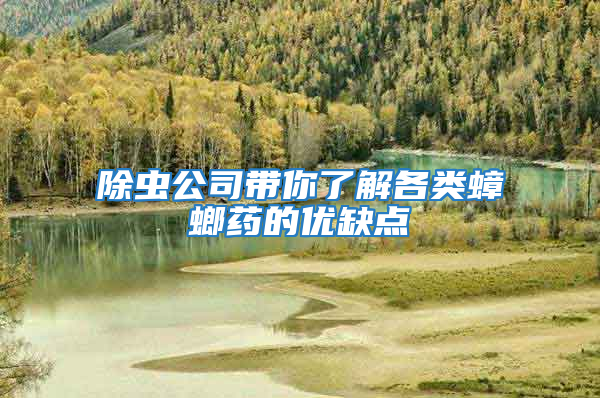 除蟲(chóng)公司帶你了解各類蟑螂藥的優(yōu)缺點(diǎn)