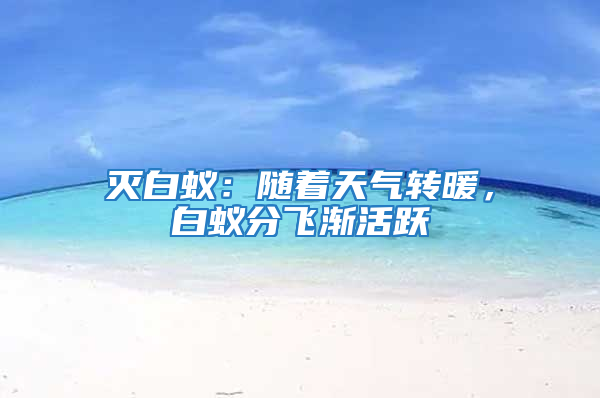 滅白蟻:隨著天氣轉暖,白蟻分飛漸活躍