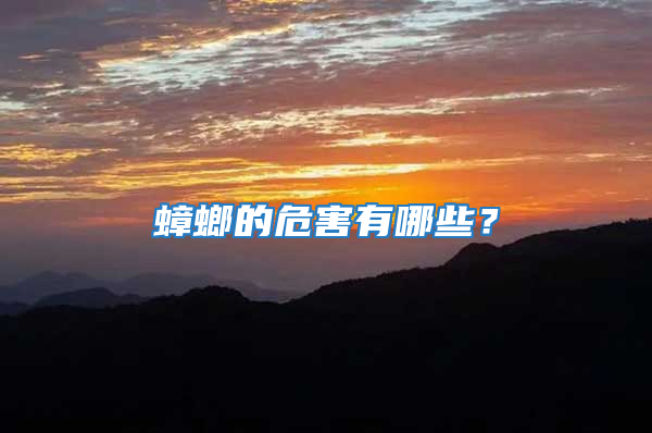 蟑螂的危害有哪些?