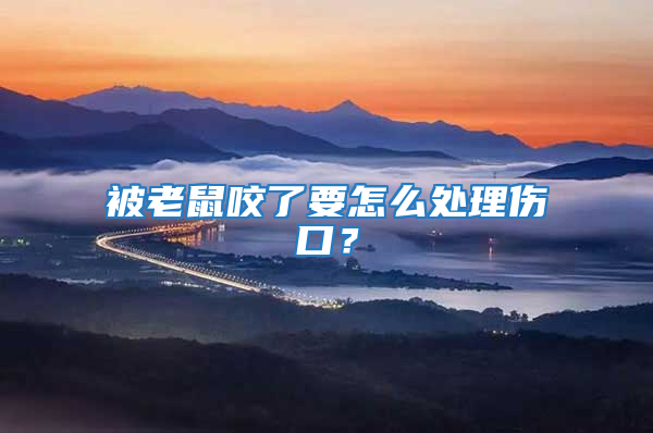 被老鼠咬了要怎么處理傷口？