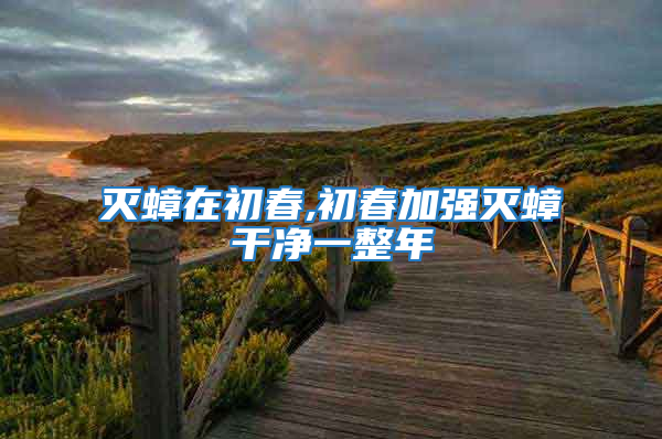 滅蟑在初春,初春加強滅蟑干凈一整年