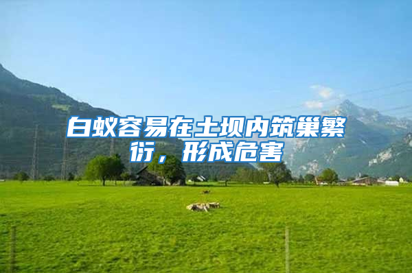 白蟻容易在土壩內(nèi)筑巢繁衍,形成危害